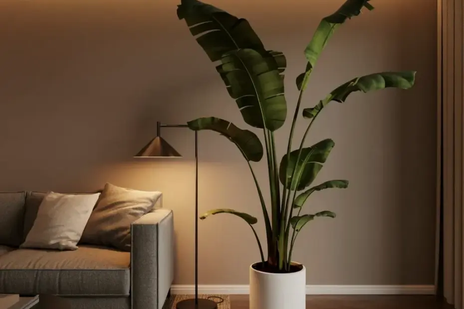 How a Big Banana Plant Made This Minimalist Living Room Feel Cozy