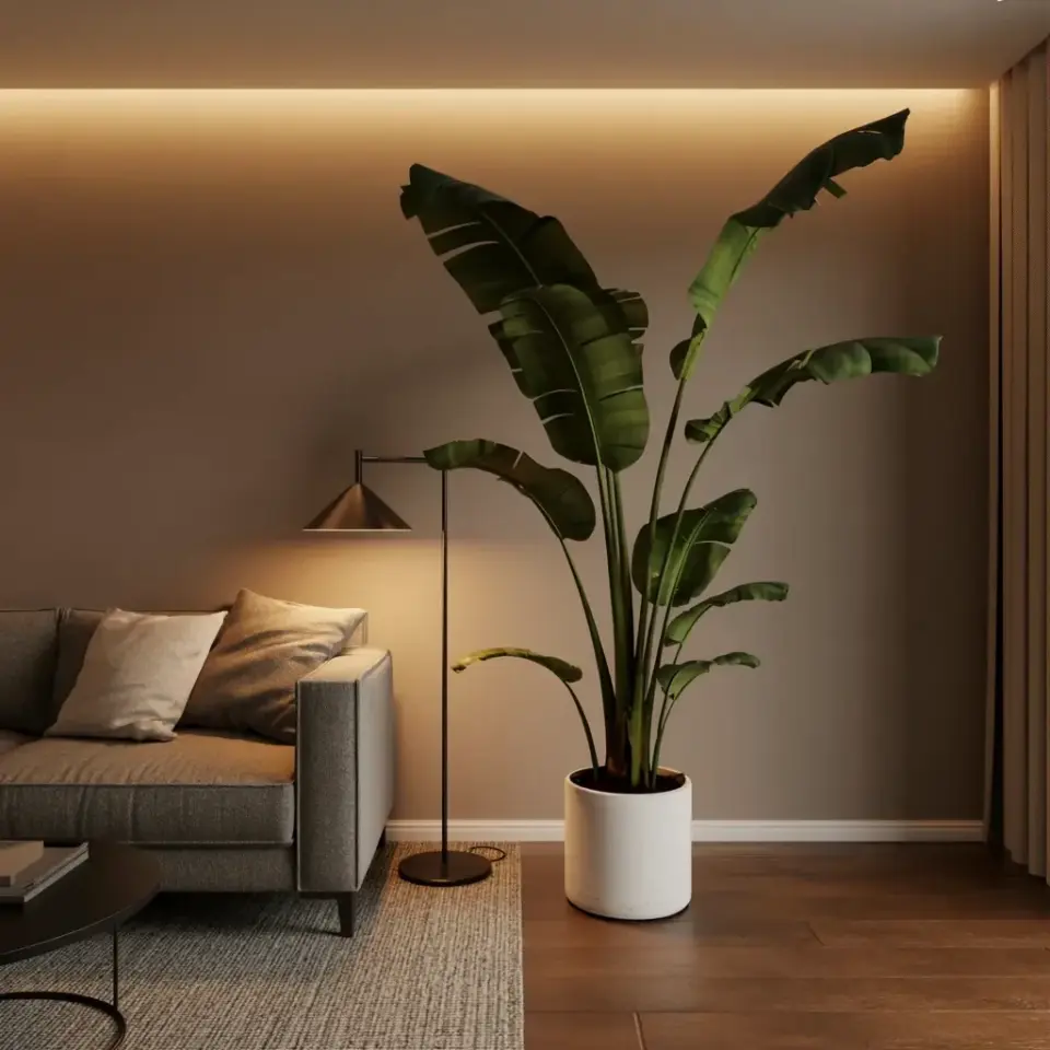How a Big Banana Plant Made This Minimalist Living Room Feel Cozy